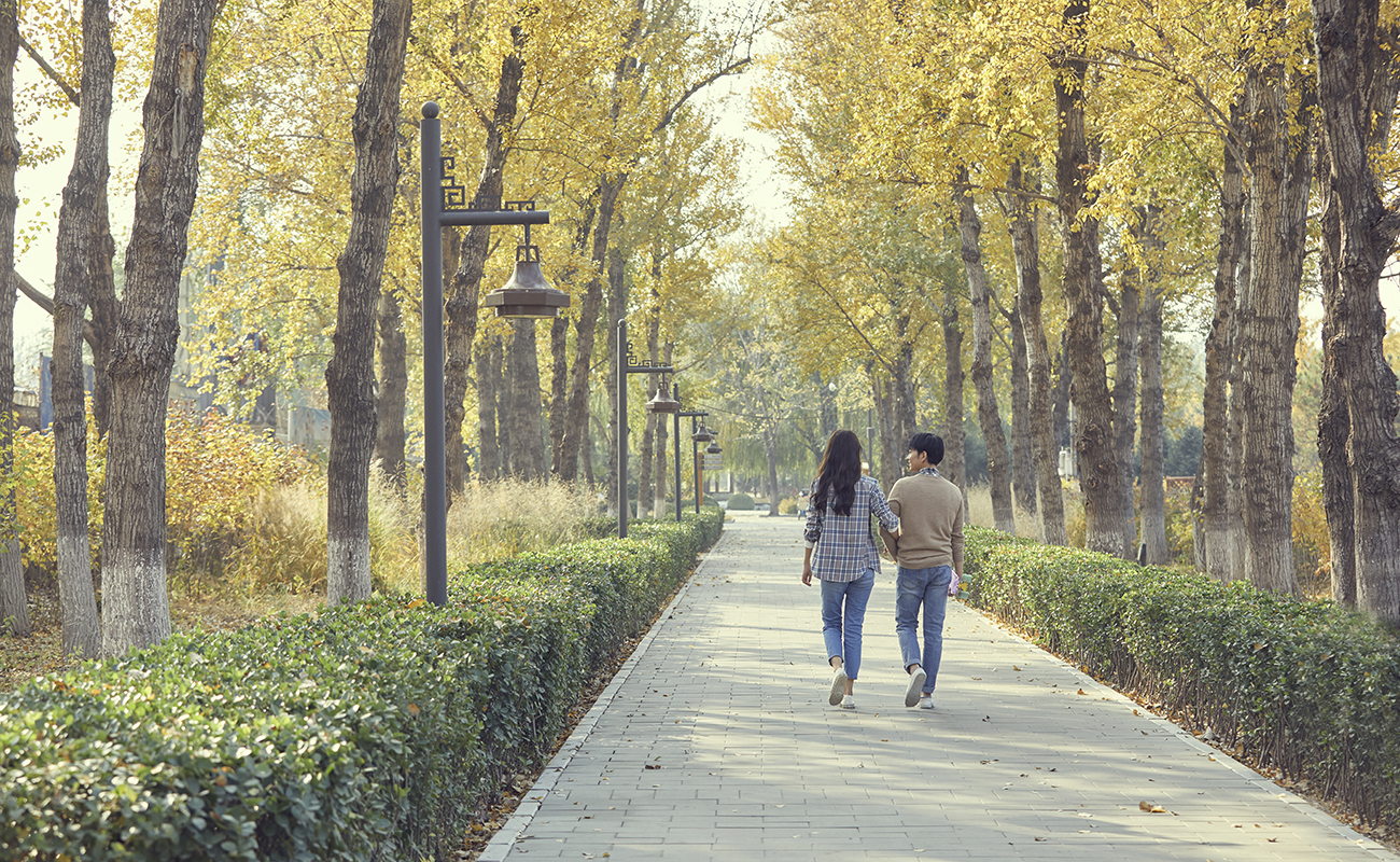 호수를 누리는 힐링 자연환경 